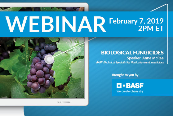 Maximizing the performance of biological fungicides