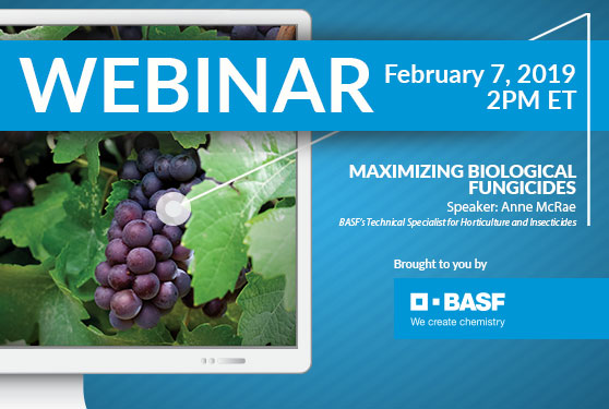 Maximizing biological fungicides