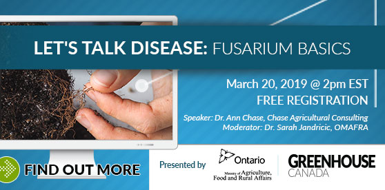 WEBINAR: Fusarium Basics