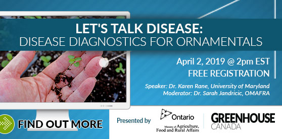 Let’s Talk Disease Series: Disease diagnostics for ornamentals