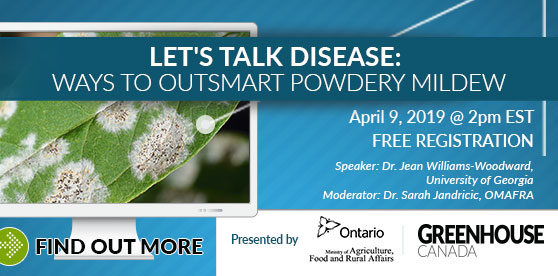 Let’s Talk Disease Series: Ways to outsmart powdery mildew