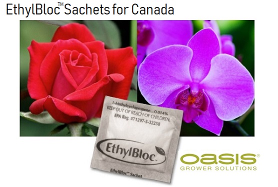 Canada Gains NEW Flexibility in the Fight Against Ethylene Damage!