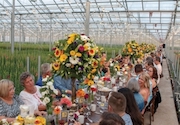Floriculture on the Table