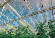 Greenhouse roof