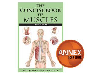 Concise Book of Muscles