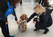 Dog Therapy at a Canadian Airport