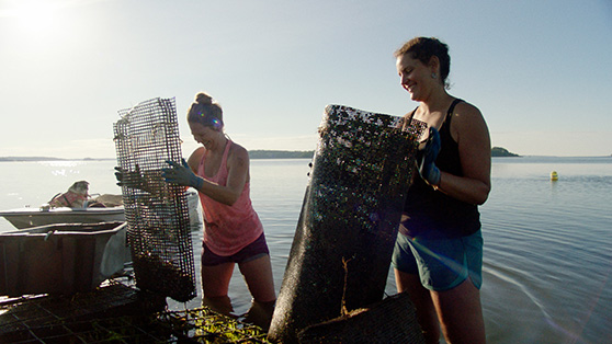 WINAA: Documenting Maine aquaculture through film