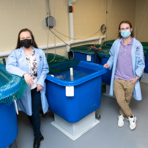 Atlantic Veterinary College (AVC)