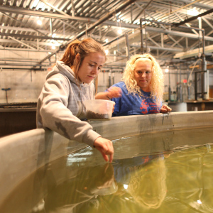 Fleming College