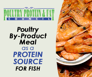 Sponsored Spotlight Ad