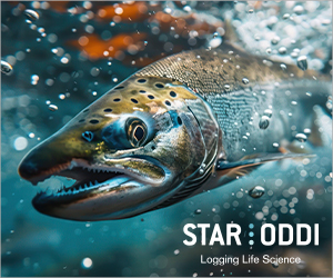 Sponsored Spotlight Ad