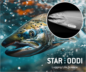 Sponsored Spotlight Ad