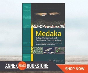 Sponsored Spotlight Ad