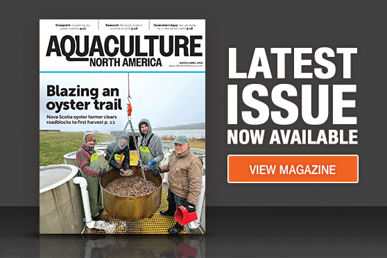 Feature Item Image