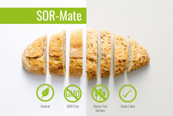 SOR-Mate – The Only Natural Source of Sorbic Acid in the World