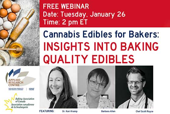 Cannabis Edibles for Bakers: Insights into Baking Quality Edibles