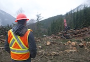 BC Coast loggers