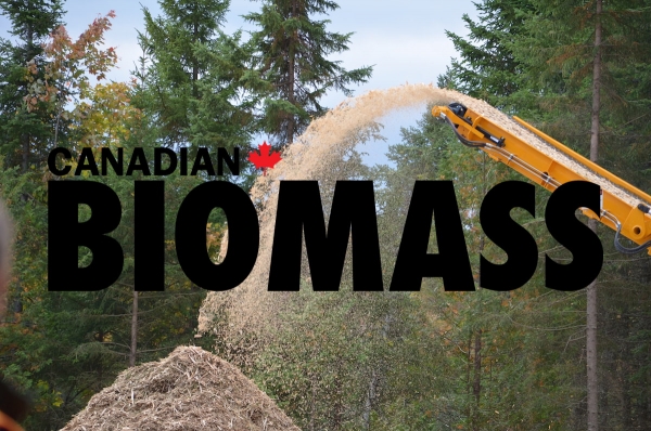 Top 10 Biomass
