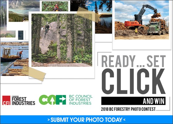 Ready, set, click and win! Send in your B.C. forestry photos