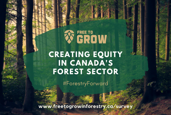 Free to Grow in Forestry wants to hear from you!