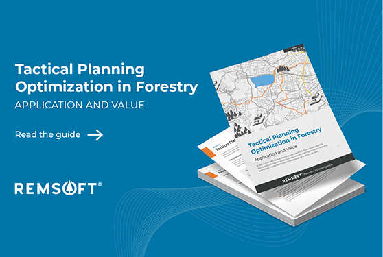 How to maximize wood production and minimize costs with optimization