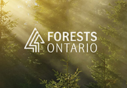 Forests Ontario