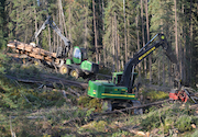 Ontario forestry
