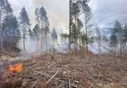 A community reduces wildfire risk