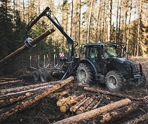 Sponsored Spotlight Ad