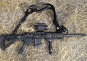 Editor's Pick