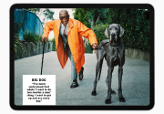 Editor's Pick
