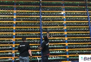 Cryptocurrency