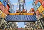 Export Insights 2019 Survey