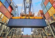 Export Insights 2019 Survey