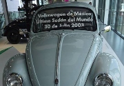 Beetle