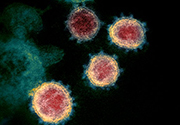 Coronavirus