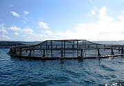 Ocean observation