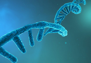 RNA therapeutics