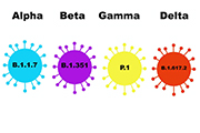 Delta varient