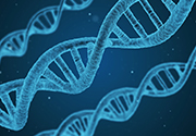 Genetic therapies