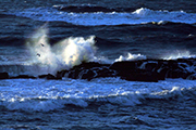 Climate-driven change