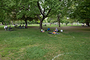Parks