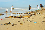 Citizen science
