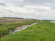 Canadian Prairie