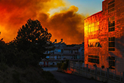 Fire protection coatings