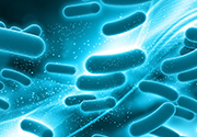 Prebiotics