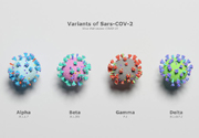 Coronavirus variants