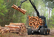 Bio-based building materials