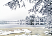 Ice cover