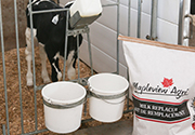 Flooded farms
